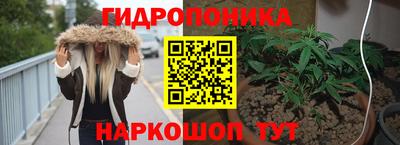 индика Ярцево
